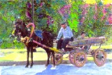 Man Donkey Cart, Turkey